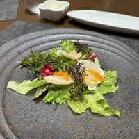 S kashiwa - 