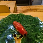 浪速 鮨波留加 - 鮪