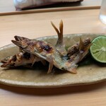 懐石料理 桝田 - 鮎