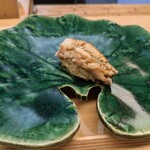 浪速 鮨波留加 - 穴子