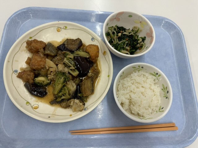 Ryoshin Kan Shokudo photo 3