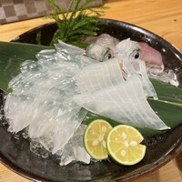 鯖とか烏賊とか真とか - 
