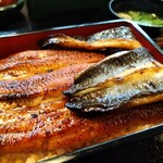 神田きくかわ 神田店 - 