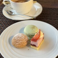 スミレオオサカ -  スミレオオサカ -