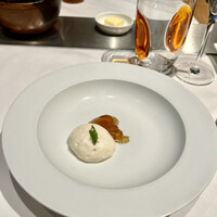 Benoit Alain Ducasse - 