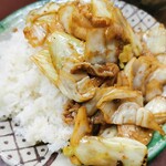 えぞ松 - アップ