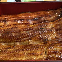 割烹蒲焼 横浜八十八 吉田町店 - 