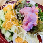 野菜レストラン ショウナン - 