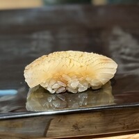 華林 - ⑩長崎県産白イカ