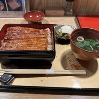 うなぎ 目白ぞろ芽 - 