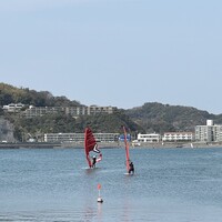 レストラン ラ・マーレ - 