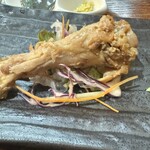 小林 地鶏の里 - 