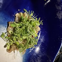 セルサルサーレ - 