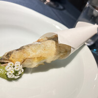 セルサルサーレ - 