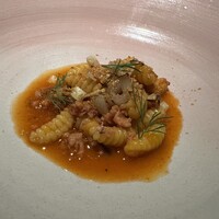 セルサルサーレ - 