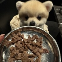 うし極 - 