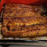 鰻割烹 伊豆栄 本店 -  鰻割烹 伊豆栄 本店 -