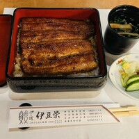 鰻割烹 伊豆栄 本店 -  鰻割烹 伊豆栄 本店 -