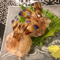 おちょこ -  おちょこ -