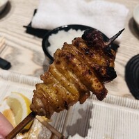 鳥カミ - 