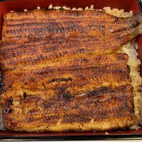 鰻割烹 伊豆栄 本店 - 