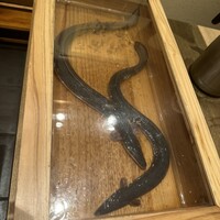 にょろ助 銀座 - 