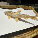 みかわ 是山居 - 