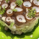 pesceco - 花が咲いたよう