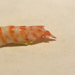 pesceco - タルタルが挟んであります