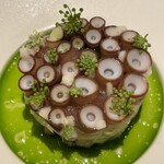 pesceco - 吸盤・身・皮、新玉葱、新ニンニク、キャベツ