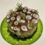 pesceco - 蛸の吸盤