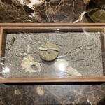 pesceco - エタリの塩辛