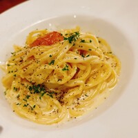 ブラチェリア バーヴァ - 