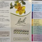 ハーブｔｅａ ハナカゴ - 