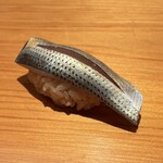 鮨 さかい - 小鰭（熊本 天草）