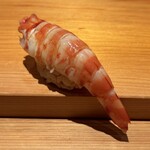 鮨 さかい - 車海老（熊本県 天草）