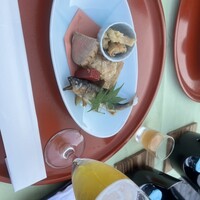 東山望 TAMANOHIKARI - 