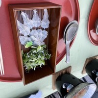 東山望 TAMANOHIKARI - 