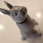 トーコーキッチン - 兎