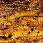 うなぎ 魚政 - 鰻重の特上