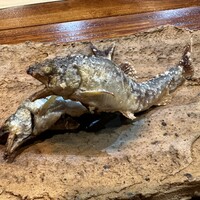お料理 加瀬 - 
