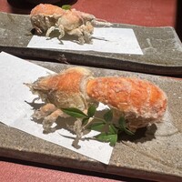 食堂 ぎんみ - シャコの天ぷら