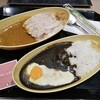 博多カレー研究所 博多とんこつあごだしカレー