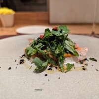 ARMONICO - 