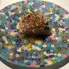 北新地Koutaro - 