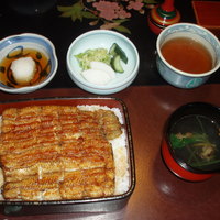 五代目 野田岩 麻布飯倉本店 - 鰻重3200円