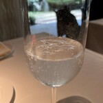 コート ドール - 