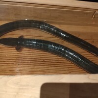 にょろ助 銀座 - 