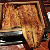 にょろ助 銀座 - 太鰻