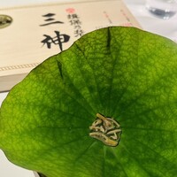 genso - 